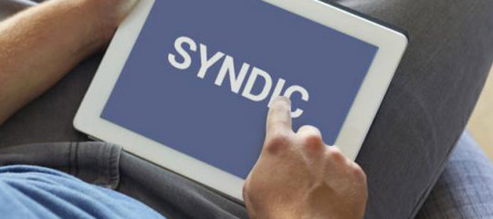 Syndic